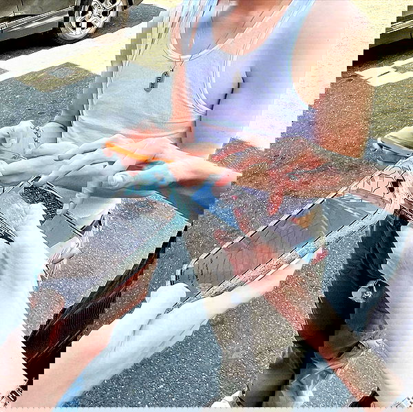 smashedely smashedely archive image