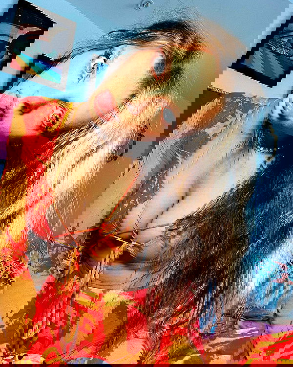 smashedely smashedely archive image