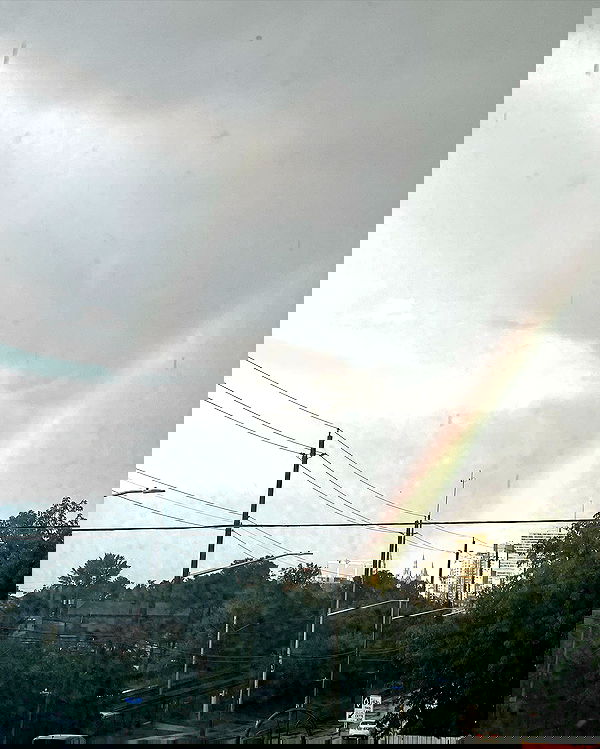 smashedely smashedely archive image