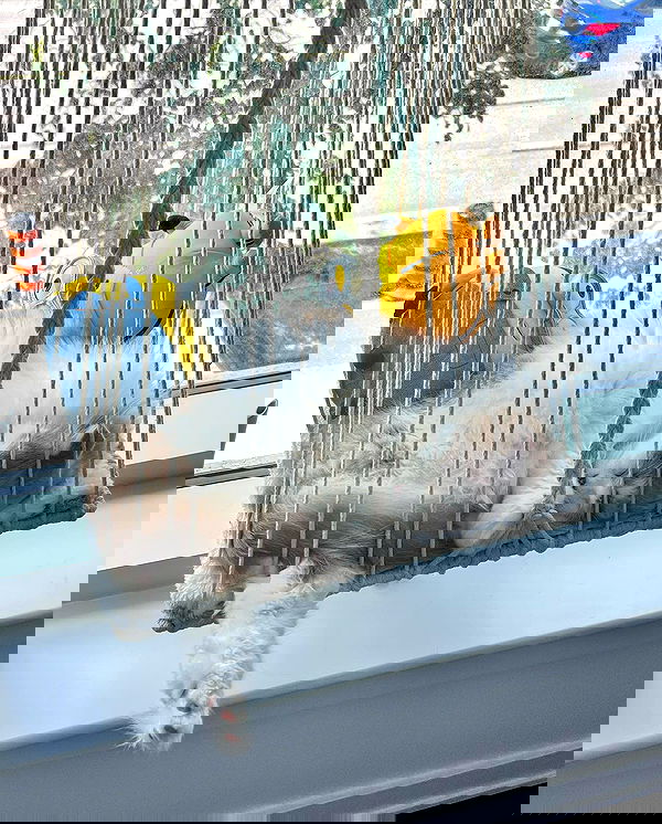 smashedely smashedely archive image