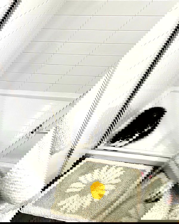 smashedely smashedely archive image