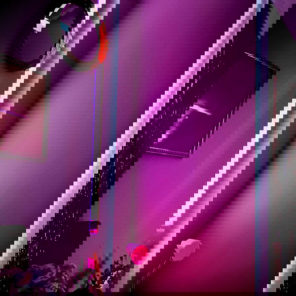 smashedely smashedely archive image