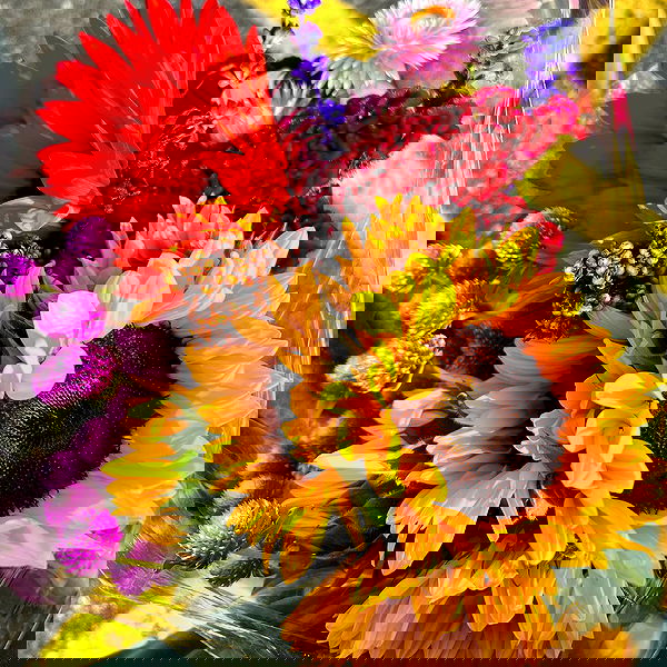 smashedely smashedely archive image