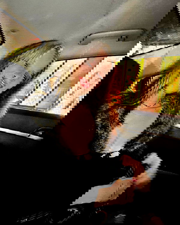 smashedely smashedely archive image