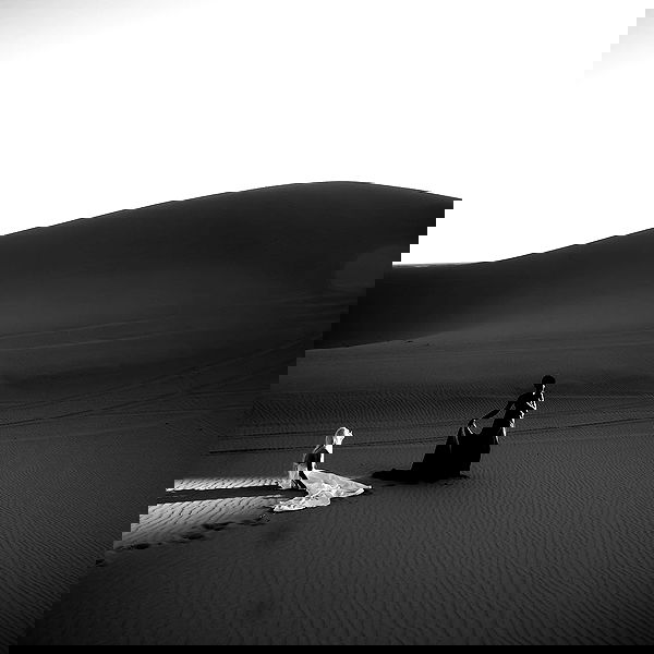 smashedely smashedely archive image