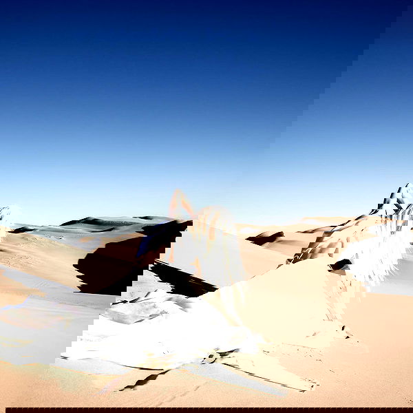 smashedely smashedely archive image