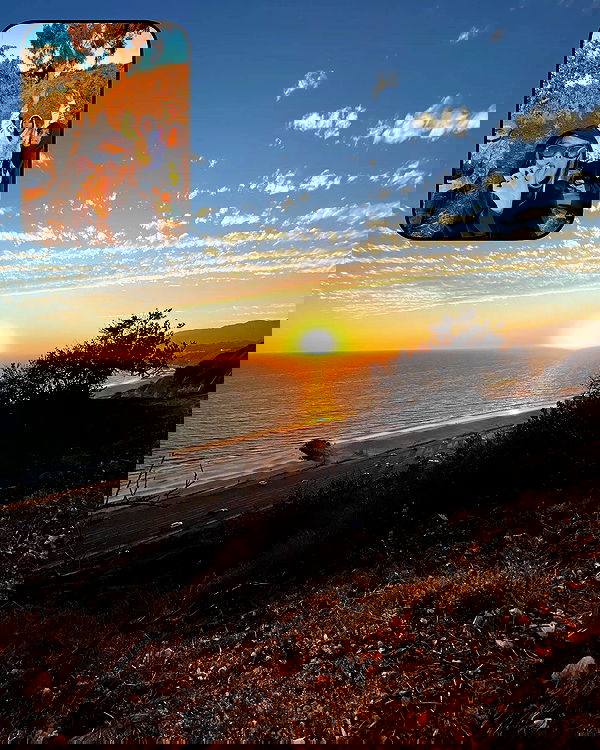 smashedely smashedely archive image