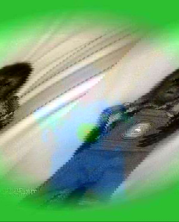 smashedely smashedely archive image