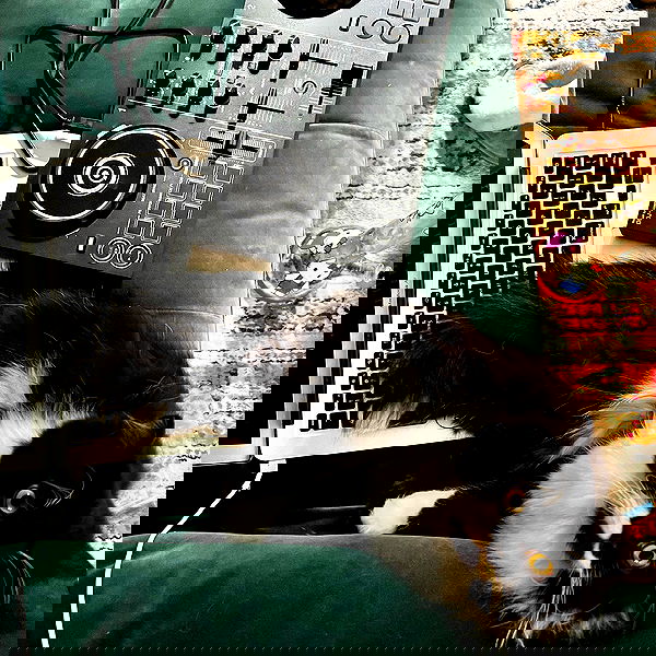 smashedely smashedely archive image