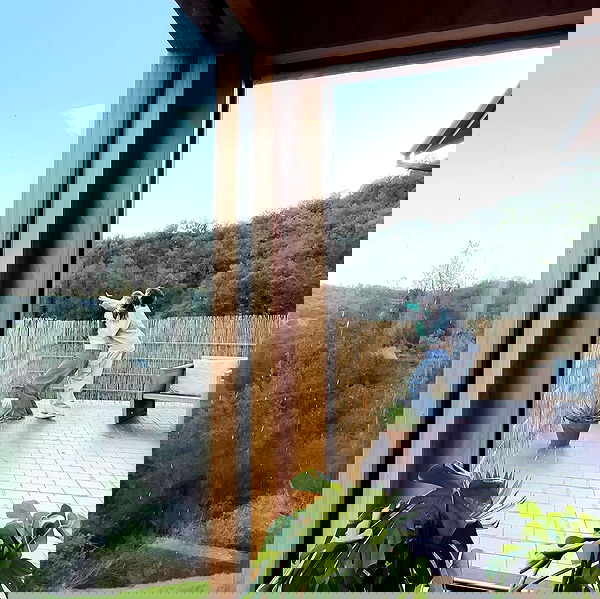 smashedely smashedely archive image