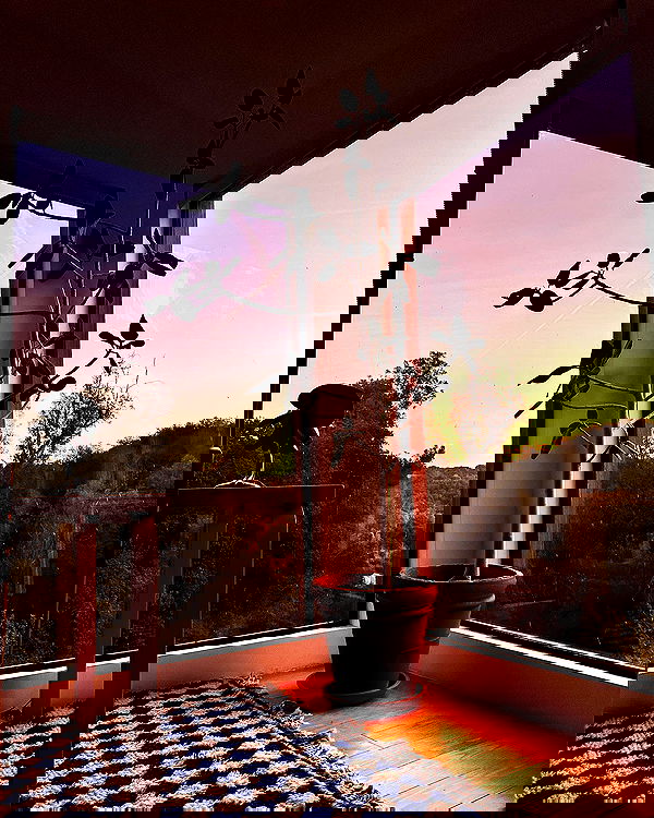 smashedely smashedely archive image