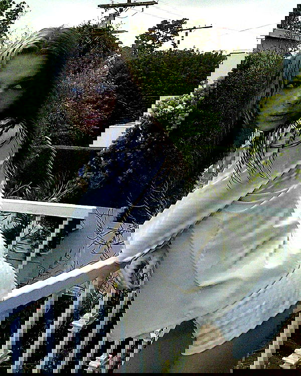 smashedely smashedely archive image