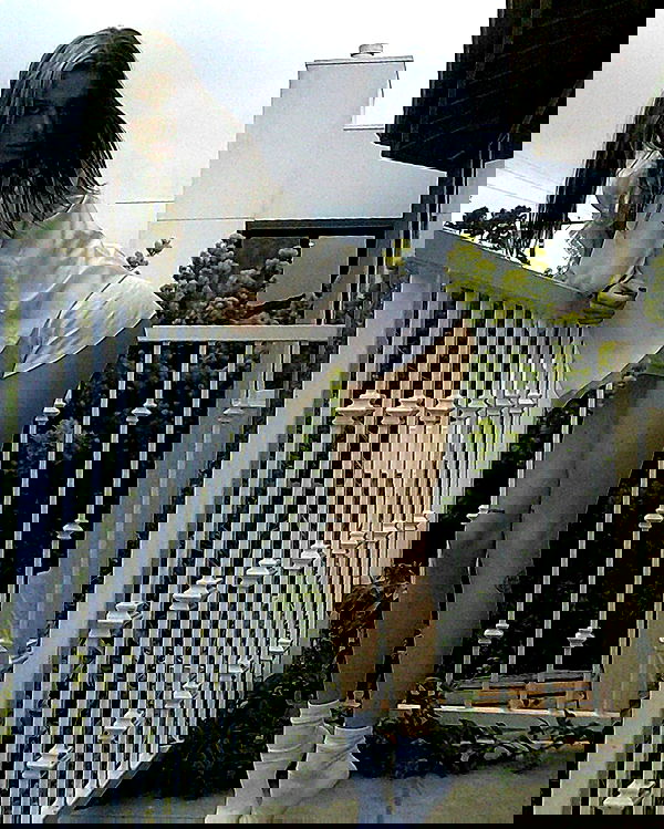 smashedely smashedely archive image