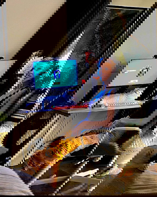 smashedely smashedely archive image