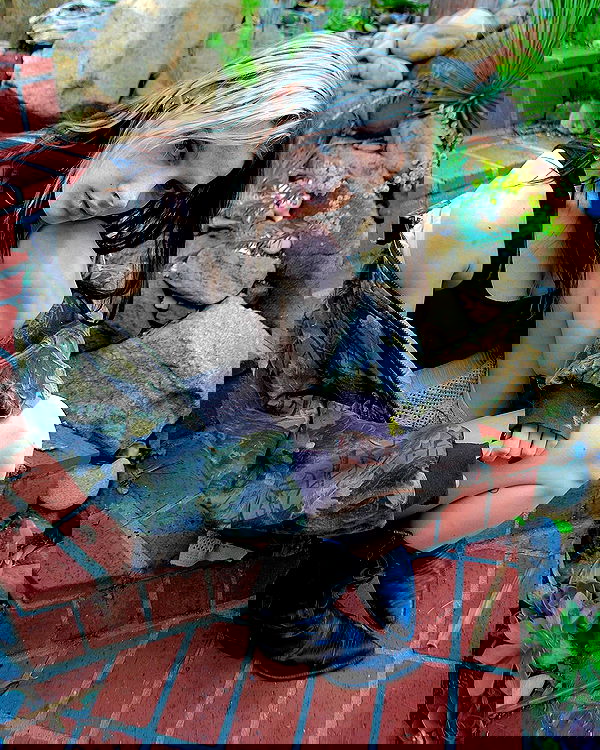 smashedely smashedely archive image