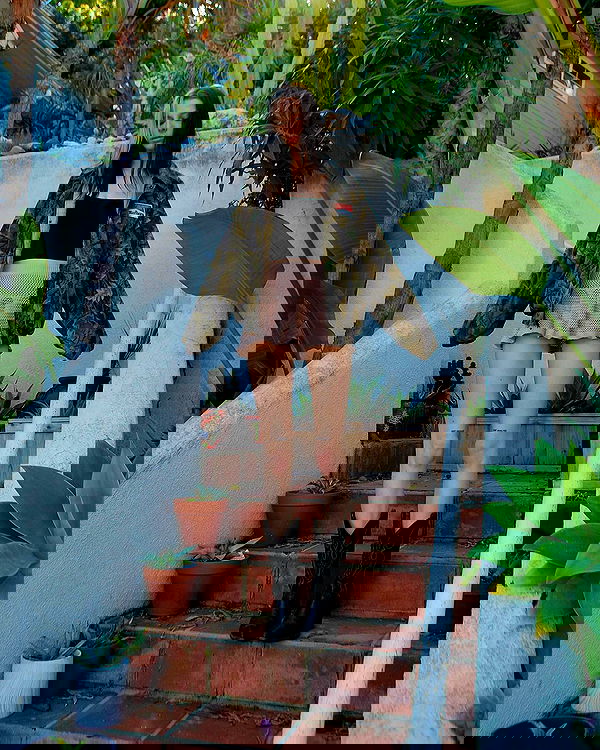 smashedely smashedely archive image