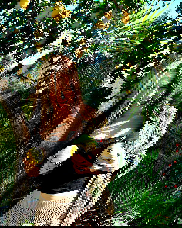 smashedely smashedely archive image