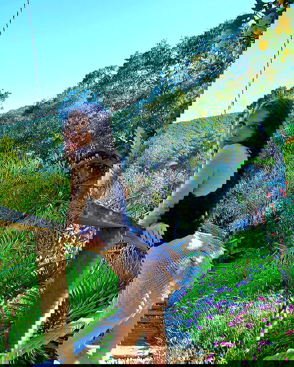 smashedely smashedely archive image