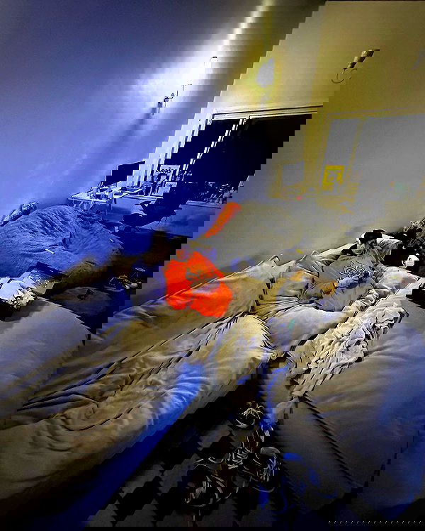 smashedely smashedely archive image