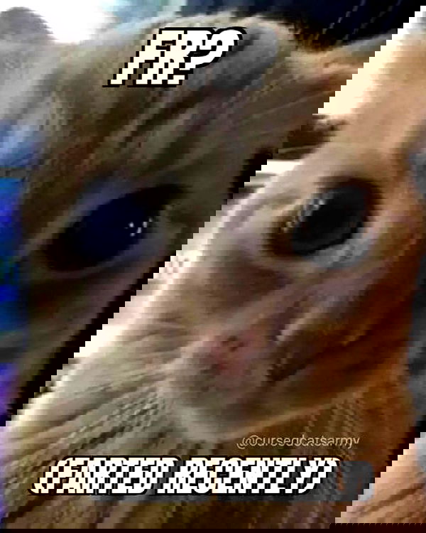 smashedely smashedely archive image