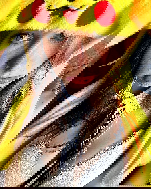 smashedely smashedely archive image