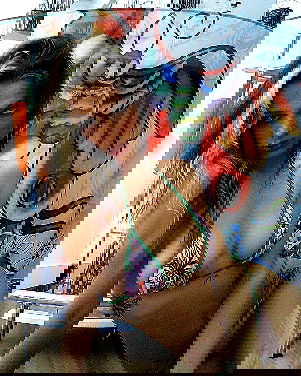 smashedely smashedely archive image