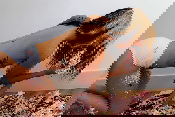 smashedely smashedely archive image