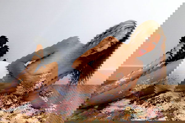 smashedely smashedely archive image