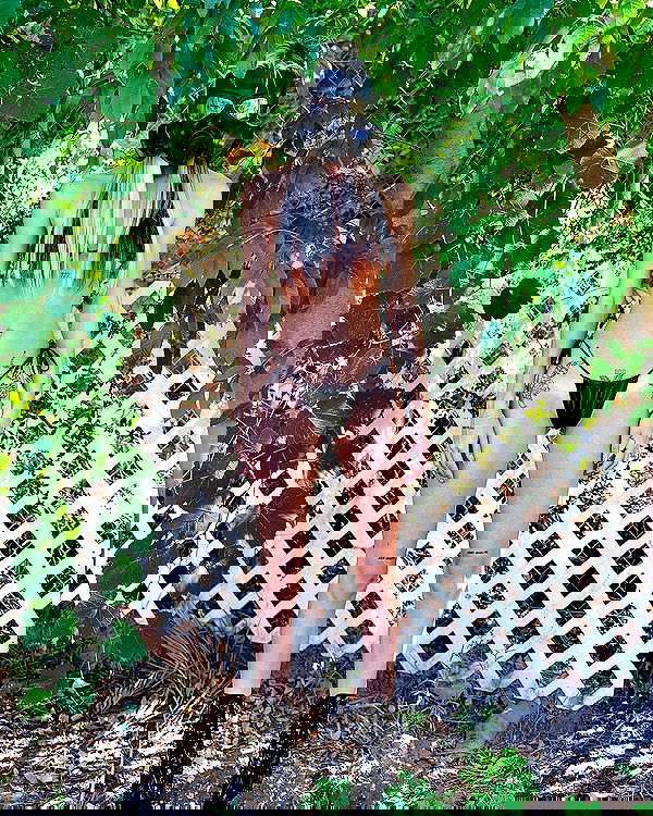 smashedely smashedely archive image