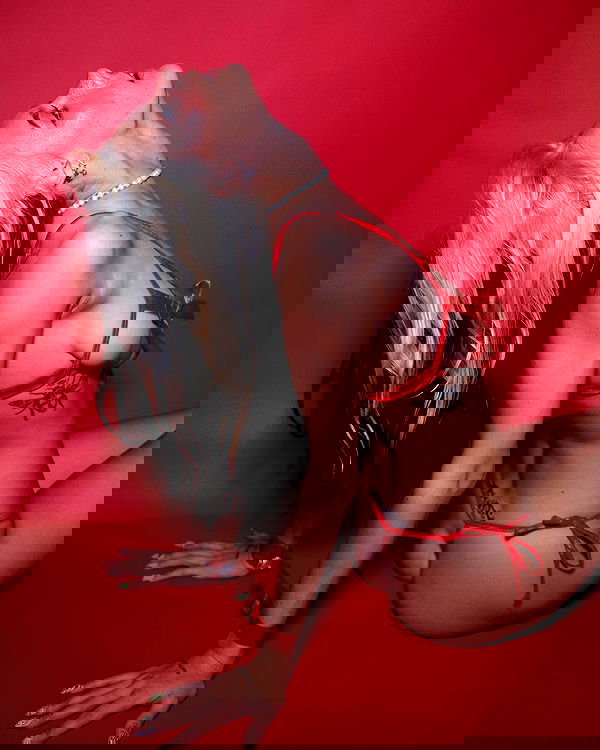 smashedely smashedely archive image