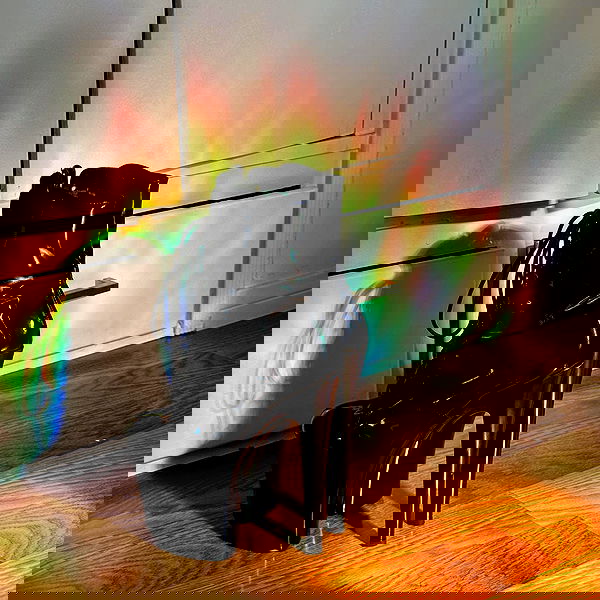 smashedely smashedely archive image