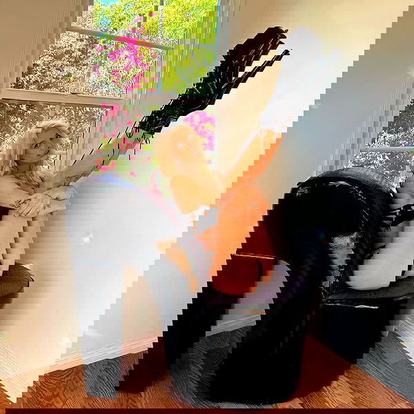 smashedely smashedely archive image