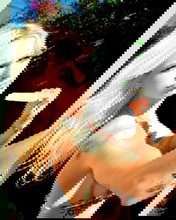 smashedely smashedely archive image