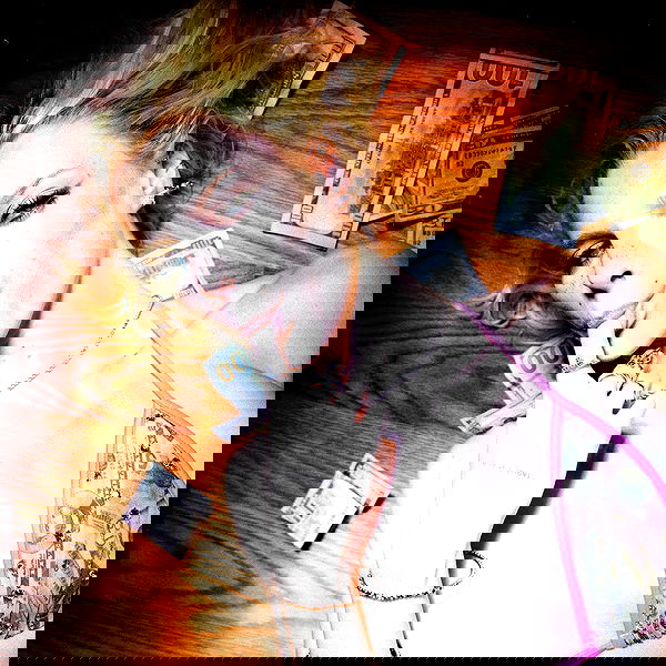 smashedely smashedely archive image