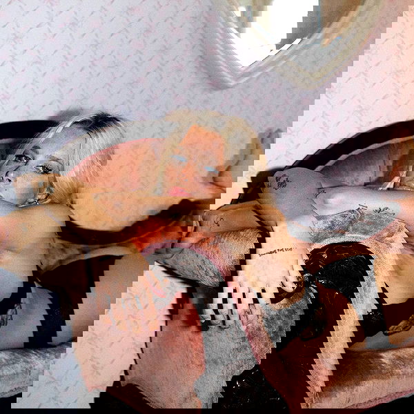 smashedely smashedely archive image