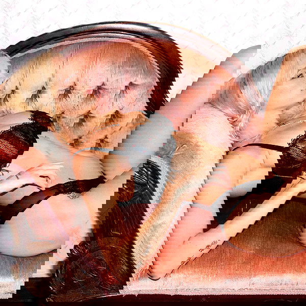 smashedely smashedely archive image