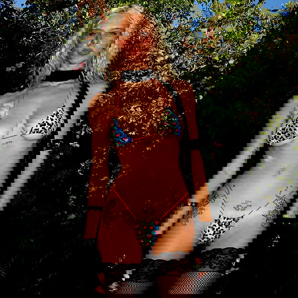 smashedely smashedely archive image