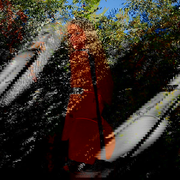 smashedely smashedely archive image