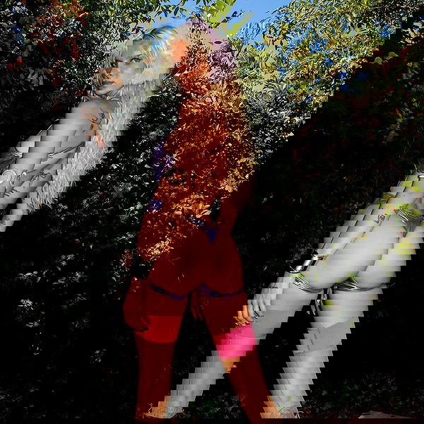 smashedely smashedely archive image