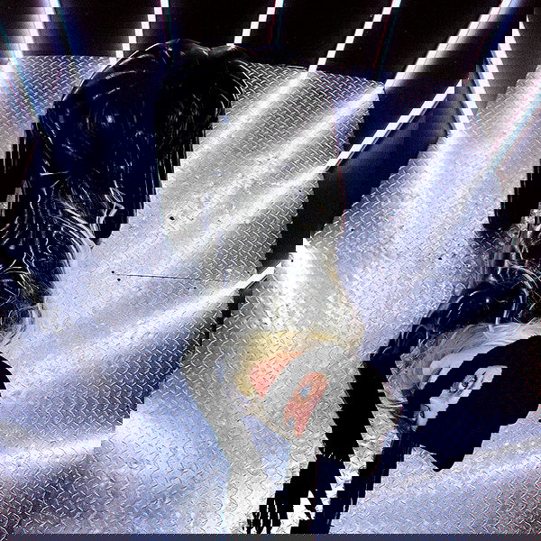 smashedely smashedely archive image