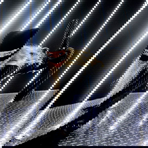 smashedely smashedely archive image