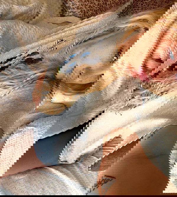 smashedely smashedely archive image