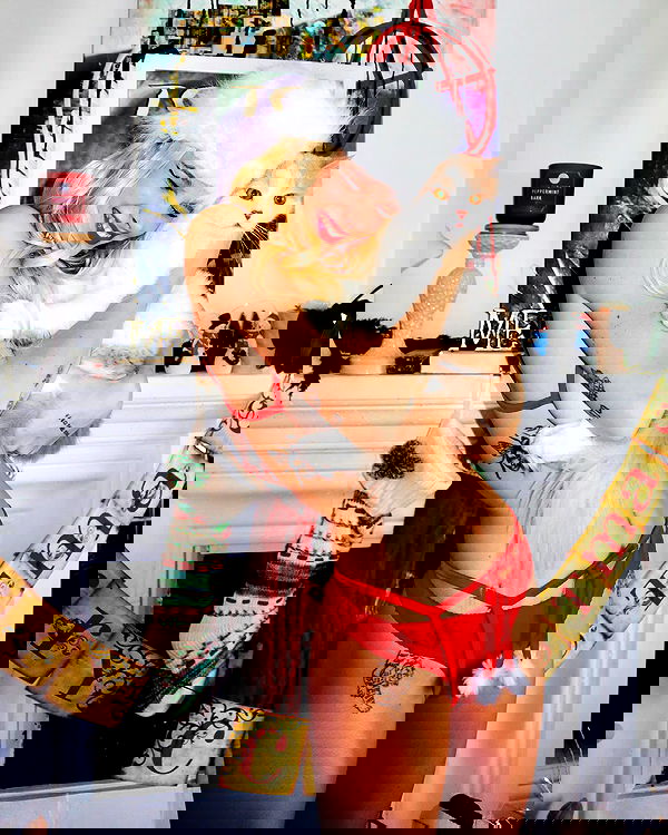 smashedely smashedely archive image