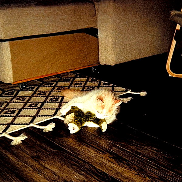 smashedelyyy instagram image archive image