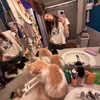 smashedelyyy Altpins Profile Picture