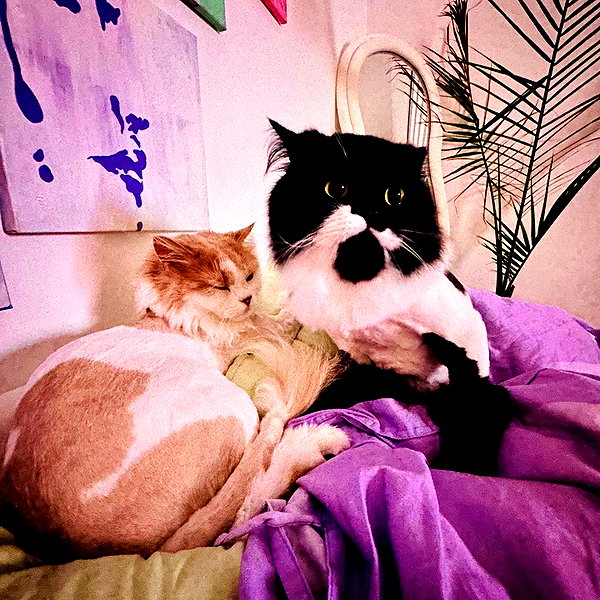 smashedelyyy instagram image archive image