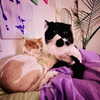smashedelyyy Altpins Profile Picture