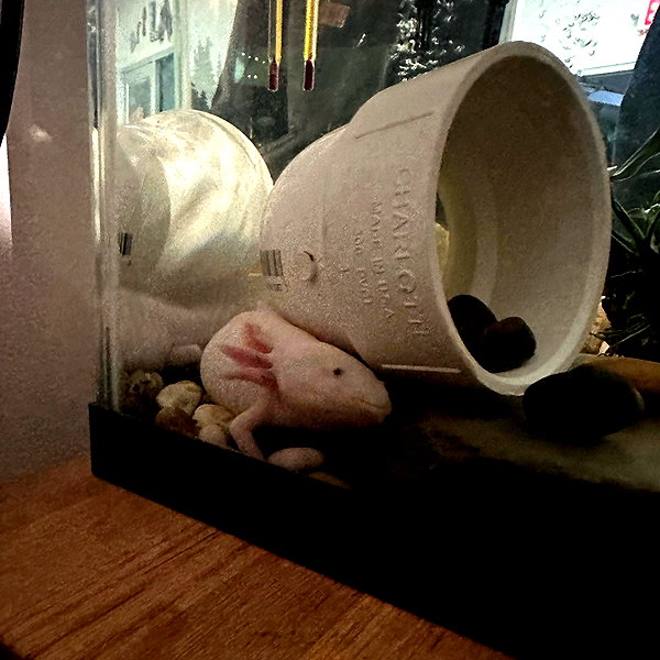 smashedelyyy instagram image archive image