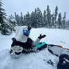 smashedelyyy Altpins Profile Picture