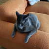 smashedelyyy Altpins Profile Picture